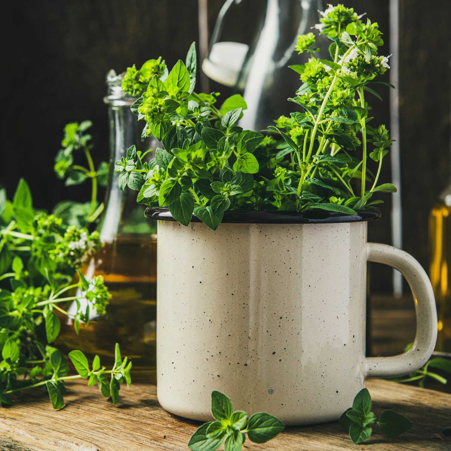 Escolha Inteligente do Vaso: O Lar Ideal para seu Orégano - inspiração 2
