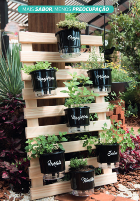 Rega na Medida Certa: Evite o Excesso e a Falta - inspiração 1