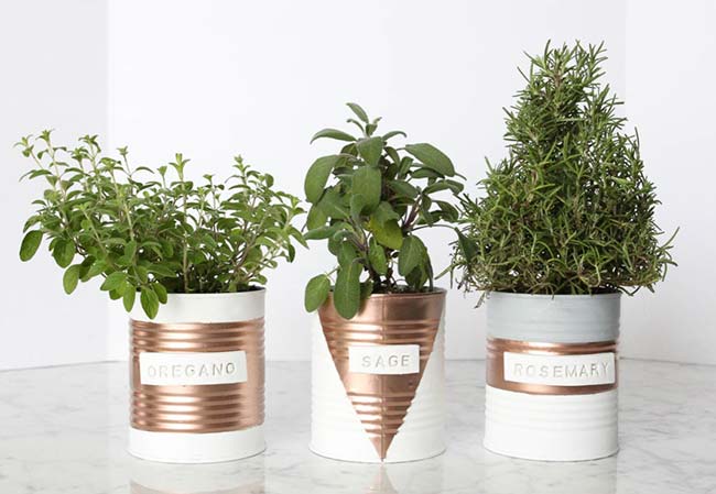 Rega na Medida Certa: Evite o Excesso e a Falta - inspiração 2