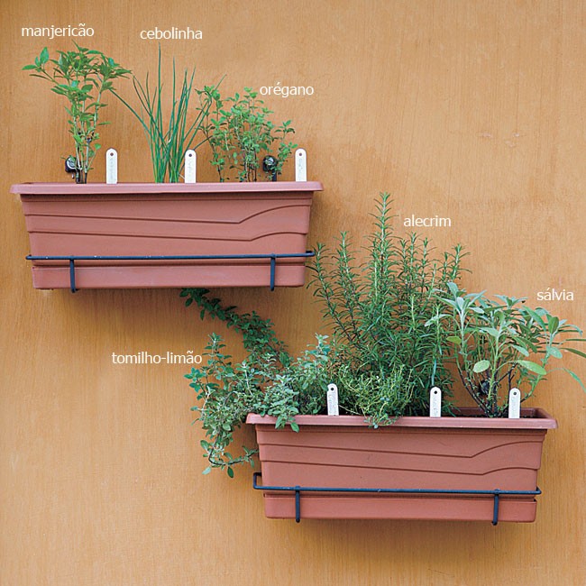 Nutrição Balanceada: Adubação para um Orégano Forte e Saboroso - inspiração 1