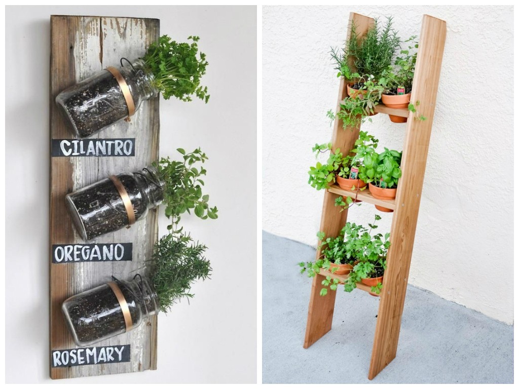 Colheita no Momento Ideal: Maximize o Sabor e o Aroma - inspiração 1