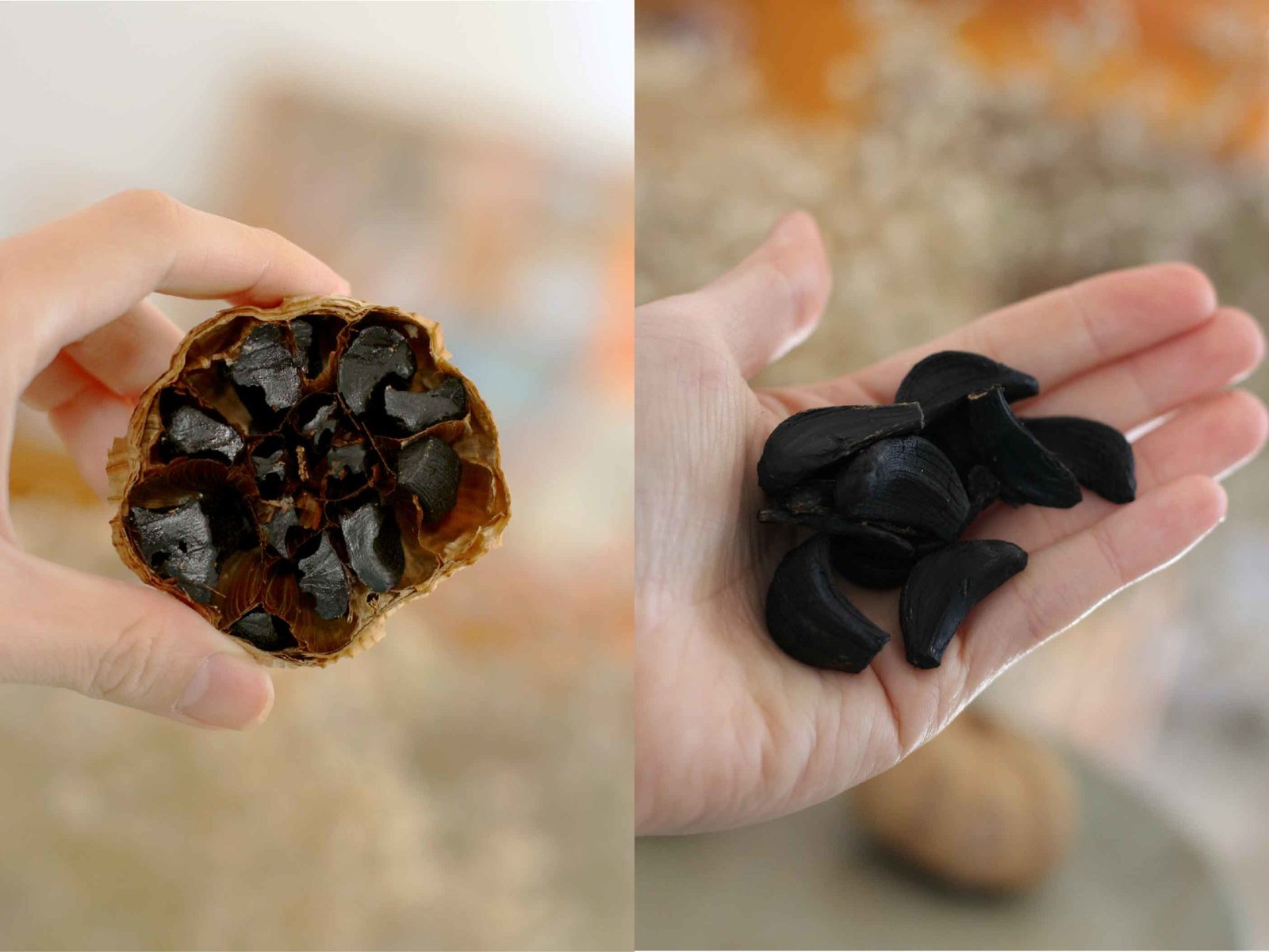 Escolha a Cabeça de Alho Ideal: O Segredo Começa Aqui - inspiração 3