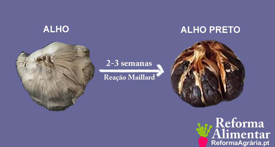 Controle a Umidade: O Pulmão da Transformação - inspiração 1