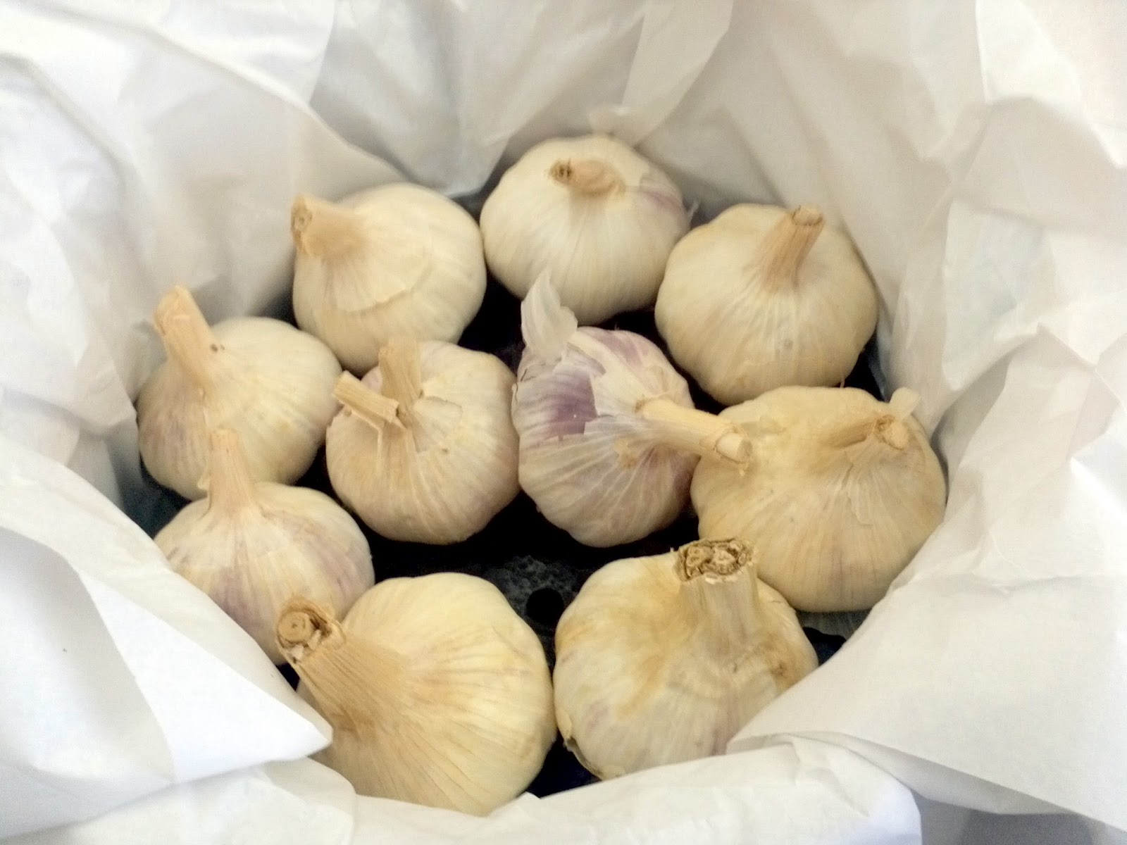 Reação de Maillard: Entenda a Ciência Por Trás da Cor e do Sabor - inspiração 1