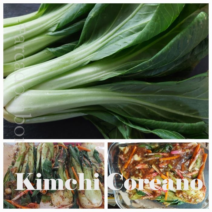 Vida Longa ao Seu Kimchi: O Armazenamento Estratégico na Geladeira - inspiração 2