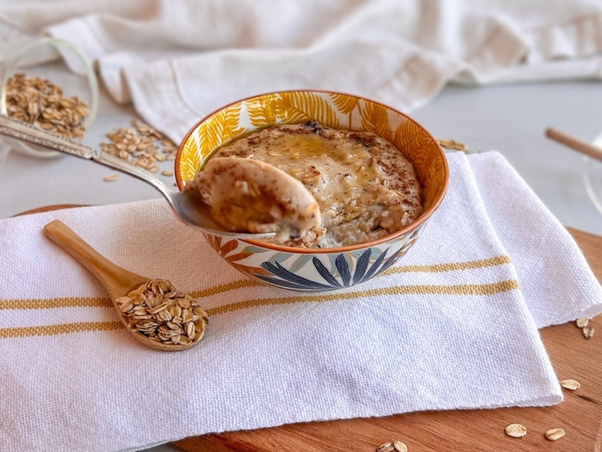 Mingau de Aveia Salgado Turbinado com Proteína de Frango Desfiado - inspiração 2