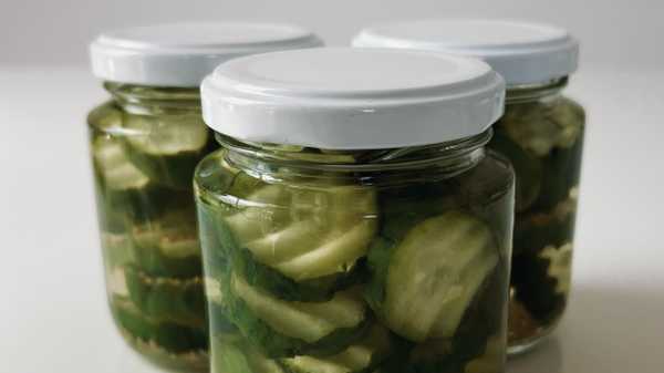 Alerta Importante: Tempo Ideal de Maturação na Geladeira - inspiração 2