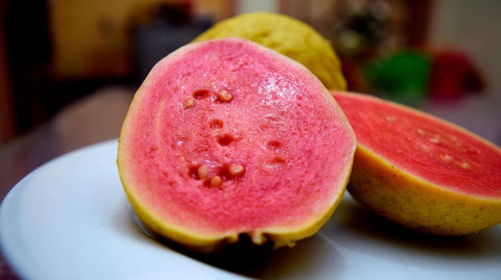 Erro Comum: Excesso de Água no Preparo - inspiração 2