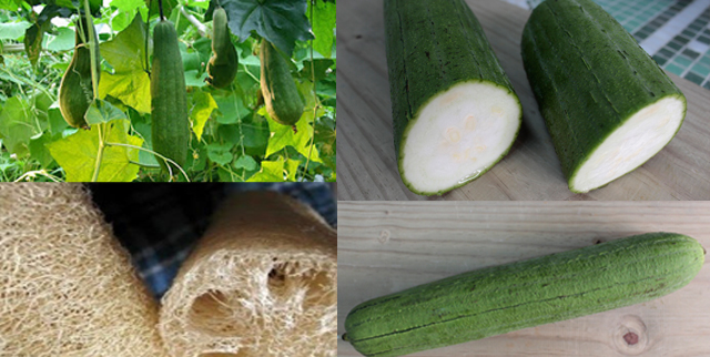 Como identificar: O ponto ideal de cozimento para uma textura perfeita - inspiração 2