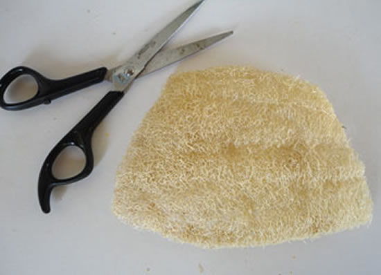 Passo a passo: Refogado de bucha turbinado com proteína - inspiração 1