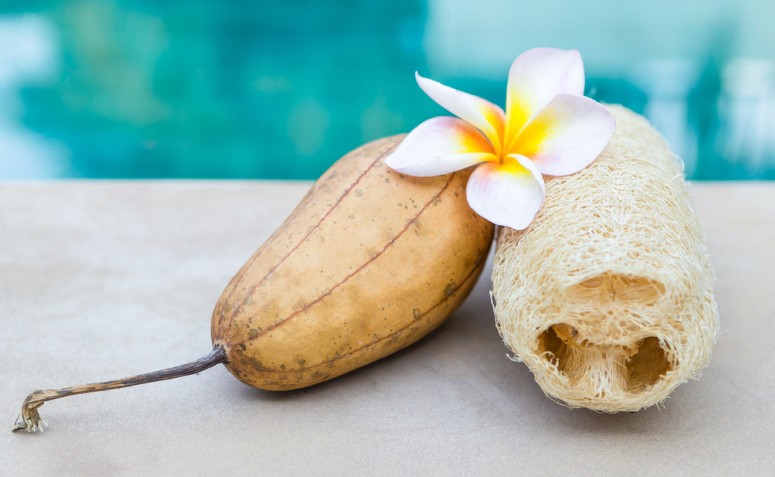 Passo a passo: Refogado de bucha turbinado com proteína - inspiração 3