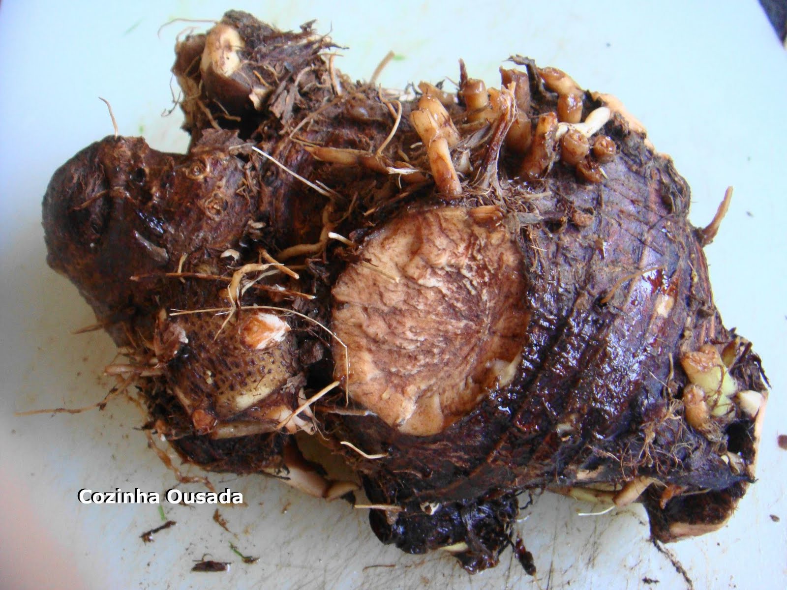 Armazenamento Inteligente: Como Manter Sua Taioba Fresca e Pronta para o Próximo Refogado - inspiração 2