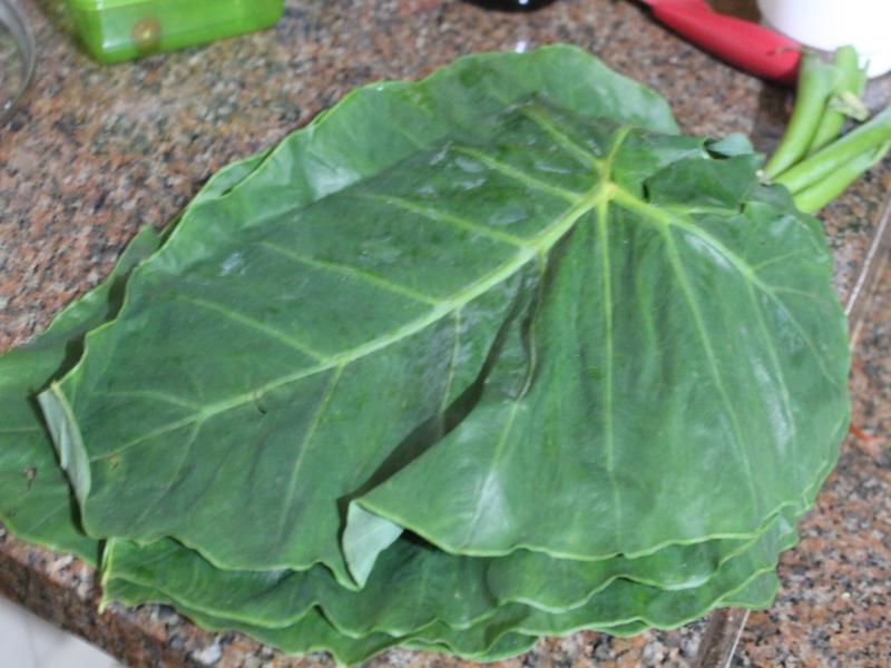 Evite Armadilhas: Erros Comuns ao Preparar Taioba e Como Corrigi-los Facilmente - inspiração 1