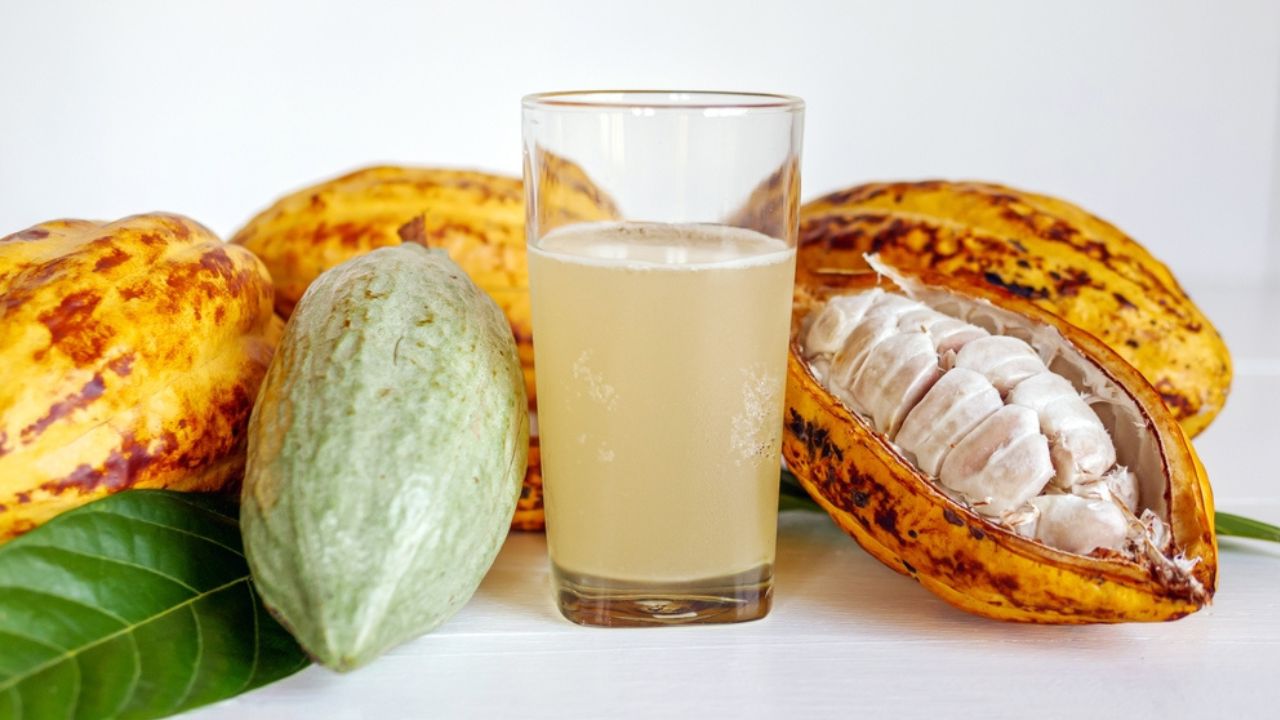 Suco Cremoso com Polpa Fresca: O Sabor Autêntico do Cacau - inspiração 1