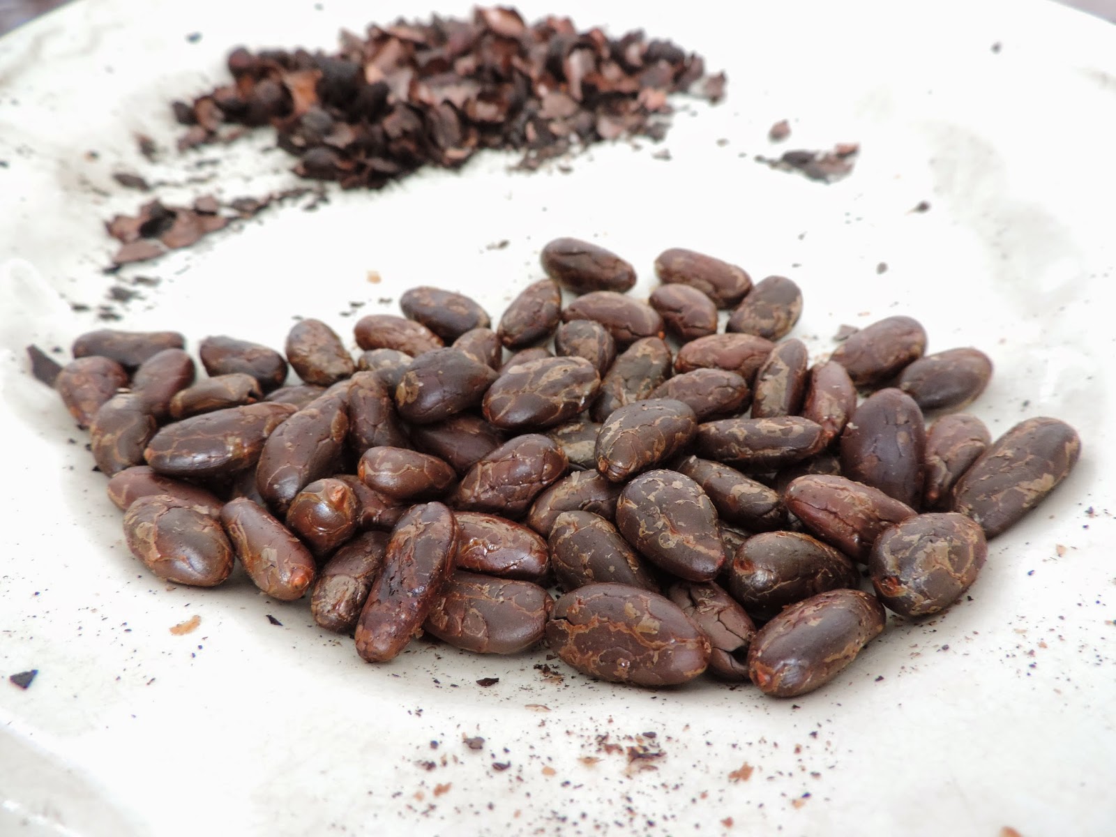 Suco de Cacau com Toque de Café: Uma Combinação Estimulante e Deliciosa - inspiração 1