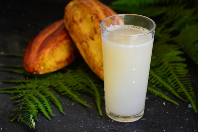 Vitamina Energética com Cacau em Pó: Rápido, Prático e Nutritivo - inspiração 1