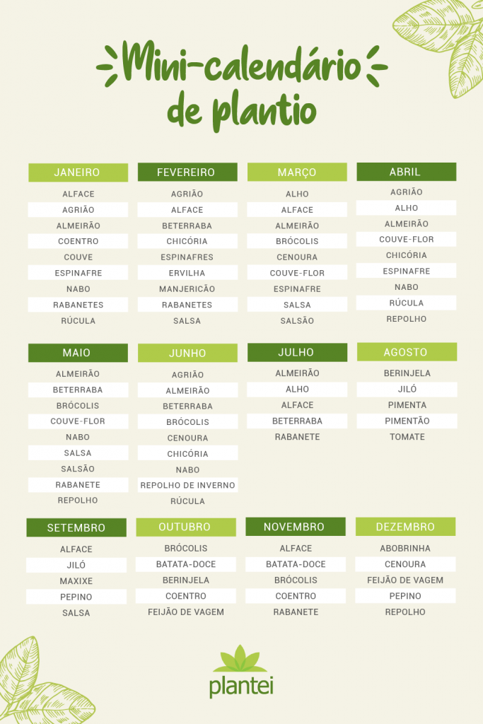 Avaliando seu Espaço: O Sol como Primeiro Aliado da Sua Horta - inspiração 2