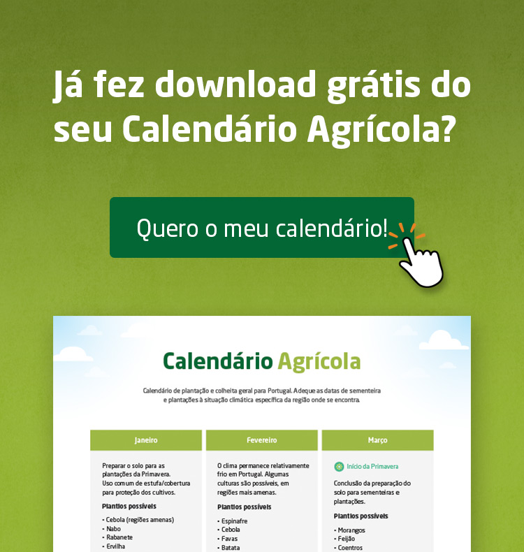 A Dança Diária: Rega Consciente e Observação Cuidadosa de Cada Folha - inspiração 2