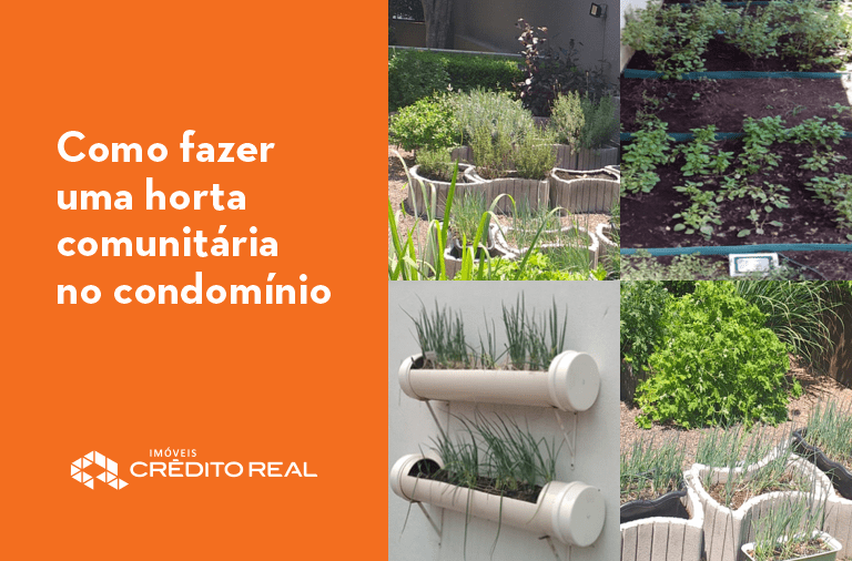 A Dança Diária: Rega Consciente e Observação Cuidadosa de Cada Folha - inspiração 3