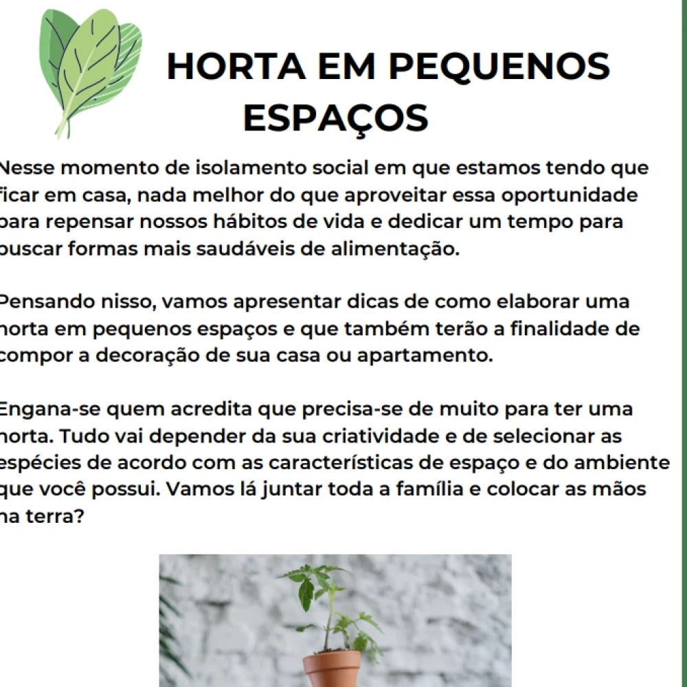 Cuidado Mensal: Alimentando Suas Plantas com Carinho e Nutrientes - inspiração 2