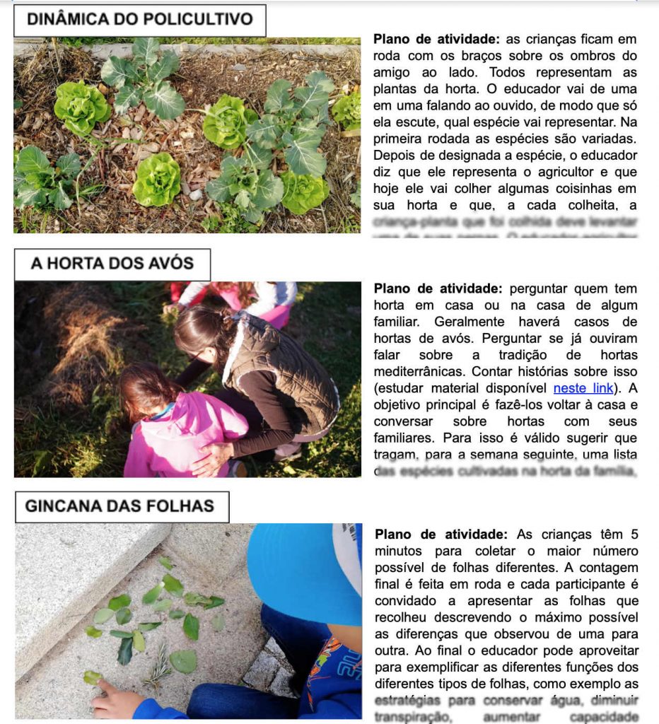 Cuidado Mensal: Alimentando Suas Plantas com Carinho e Nutrientes - inspiração 3