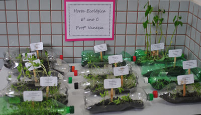 Protegendo Sua Horta: Estratégias Naturais Contra Invasores Indesejados - inspiração 1