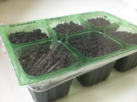 O Banho Quente que Desperta: Técnica de Imersão para Sementes - inspiração 3