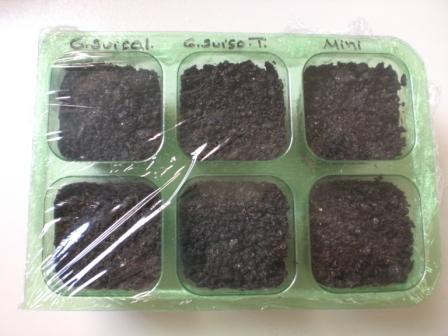 A Acidez Amiga: Vinagre como Aliado no Preparo das Sementes - inspiração 2