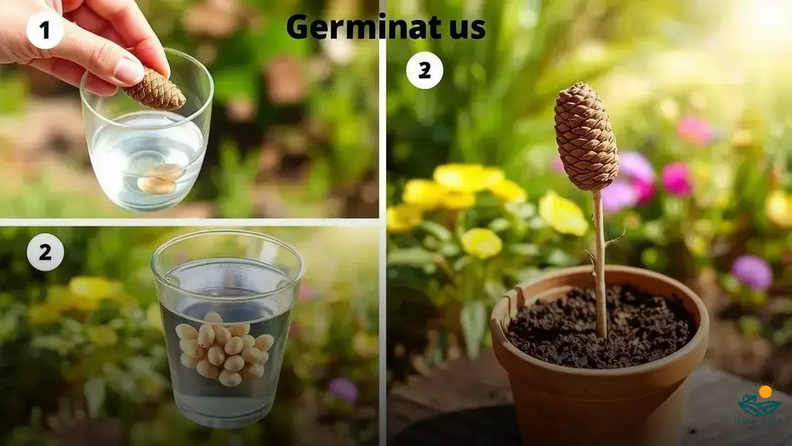 Criando o Clima Perfeito: Calor e Escuridão Essenciais - inspiração 2