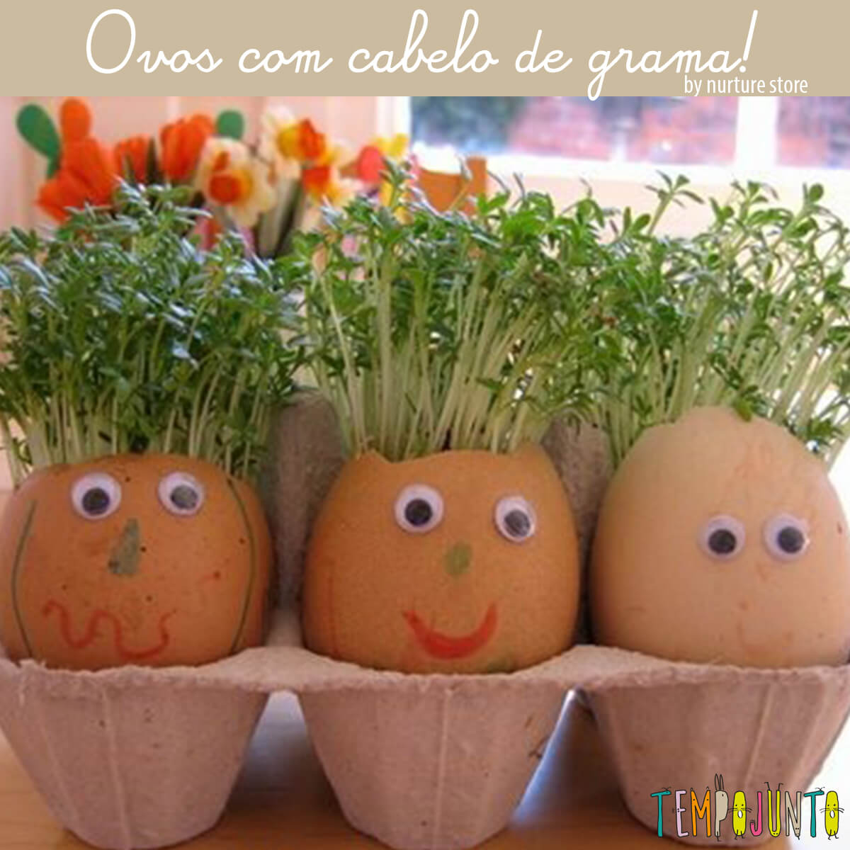 Criando o Clima Perfeito: Calor e Escuridão Essenciais - inspiração 3