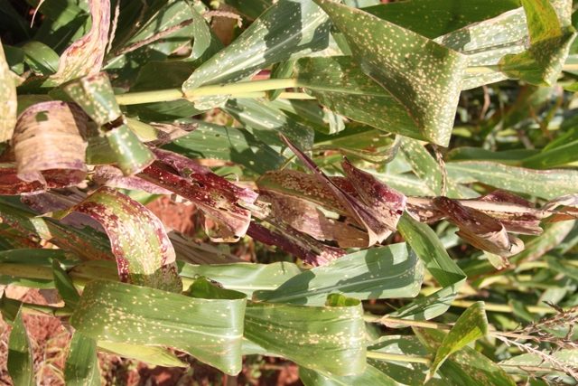 Fadiga Muscular Constante: Cansaço Além do Normal - inspiração 3