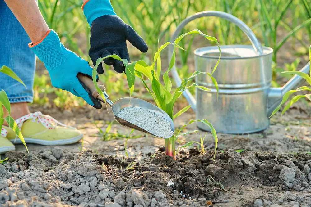 Problemas Dentários Recorrentes: A Boca Revela a Deficiência - inspiração 2