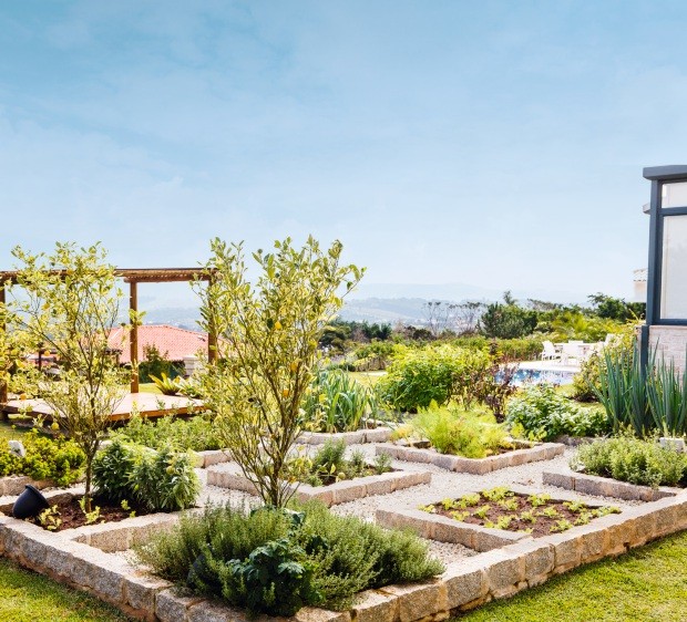 Mãos Dadas com o Verde: Como Engajar e Manter o Projeto Vivo - inspiração 1