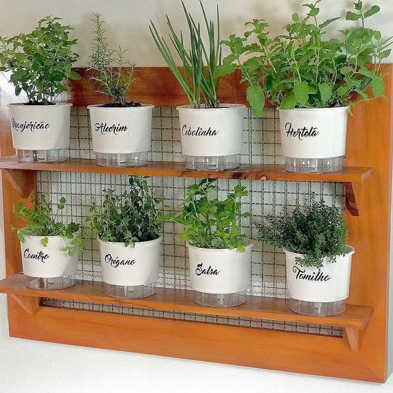 Terra Boa, Colheita Farta: O Segredo do Solo Rico - inspiração 1