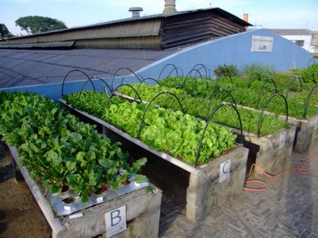 Terra Boa, Colheita Farta: O Segredo do Solo Rico - inspiração 2