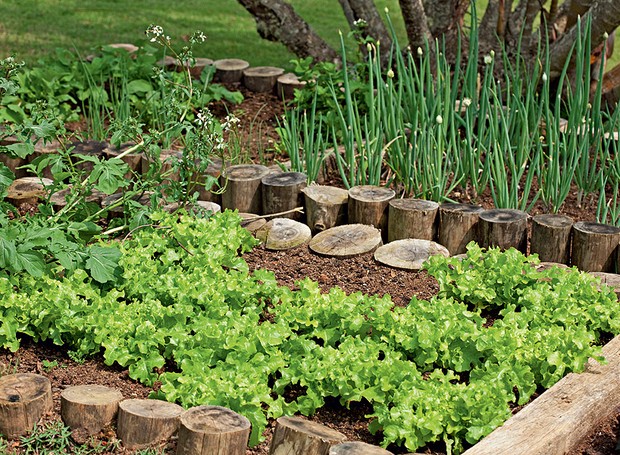 Ferramentas Amigas: Conforto nas Mãos que Cultivam - inspiração 1