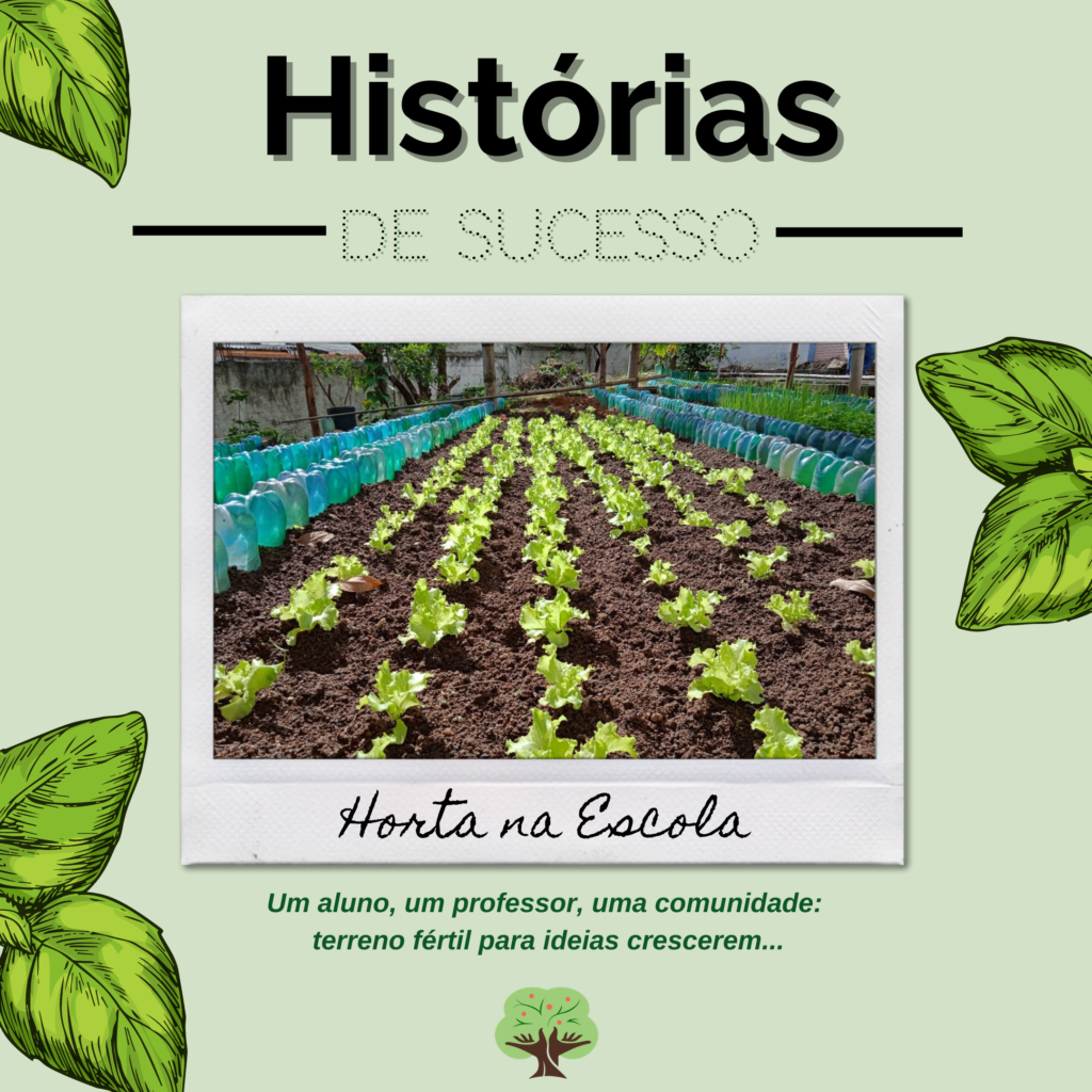 Escolha que Nutre e Perfuma: O Que Plantar no Seu Jardim de Bem-Estar - inspiração 2