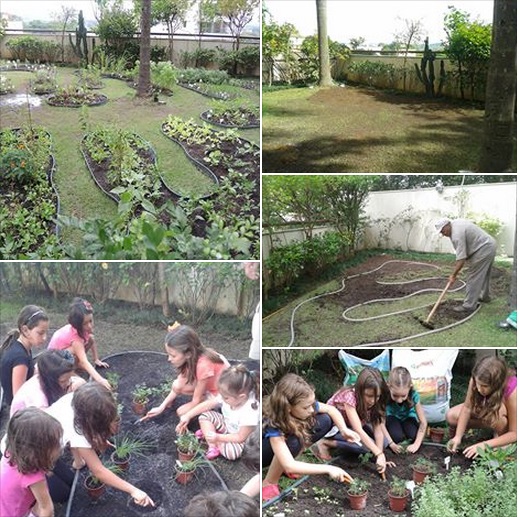 Horta Sensorial: Despertando Alegrias em Cada Folhinha - inspiração 2