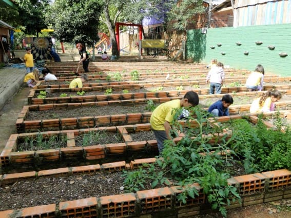 Hortoterapia no Dia a Dia: Saúde no Prato e no Coração - inspiração 3