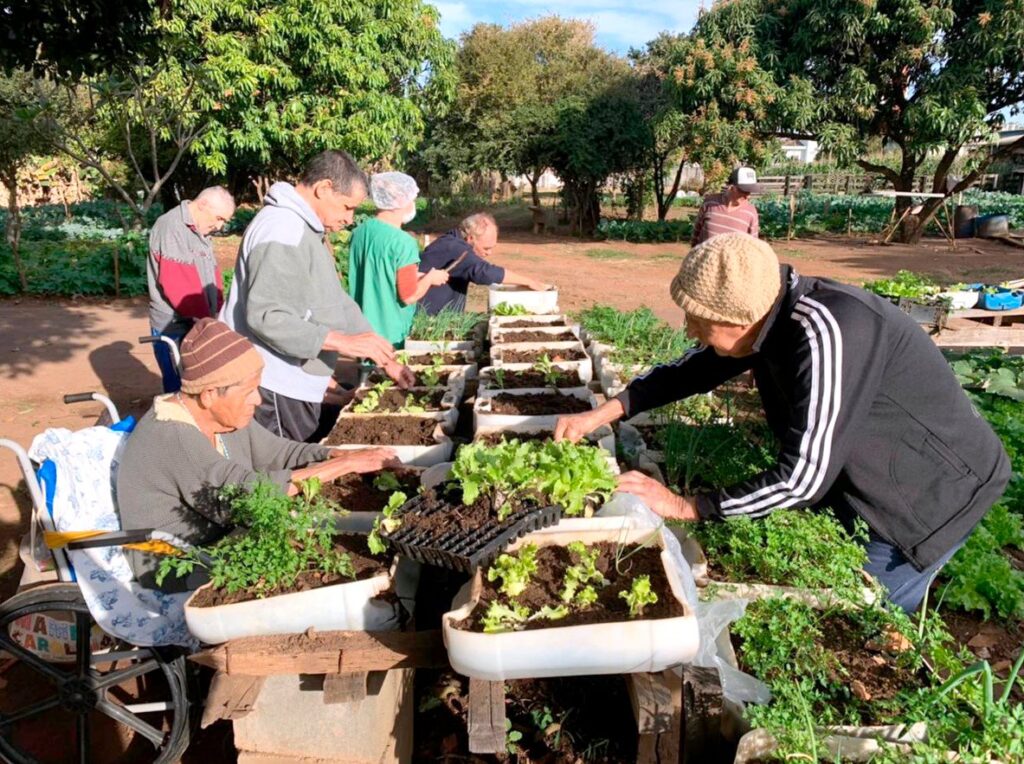 Colheita Feliz: Integrando a Fartura da Horta nas Refeições - inspiração 2