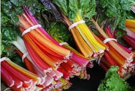 Preparando o Terreno: O Segredo de um Solo Rico e Drenado - inspiração 1