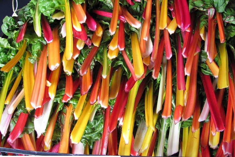 Preparando o Terreno: O Segredo de um Solo Rico e Drenado - inspiração 3