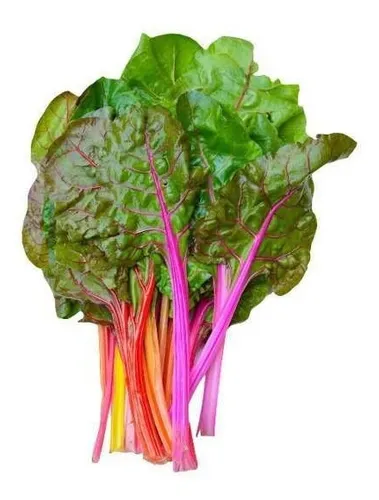 Semeadura Sem Mistério: O Guia Definitivo para Germinar suas Sementes - inspiração 1