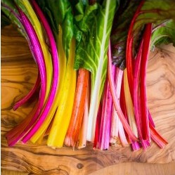 Semeadura Sem Mistério: O Guia Definitivo para Germinar suas Sementes - inspiração 2