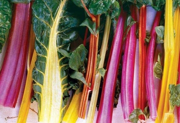 Transplante Perfeito: Dando Espaço para a Acelga Prosperar - inspiração 3