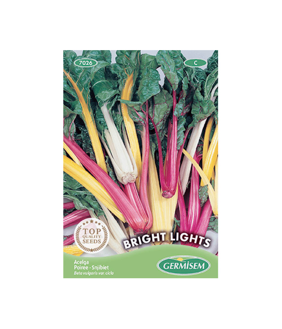 Sol na Medida Certa: Maximizando as Cores e o Crescimento - inspiração 3