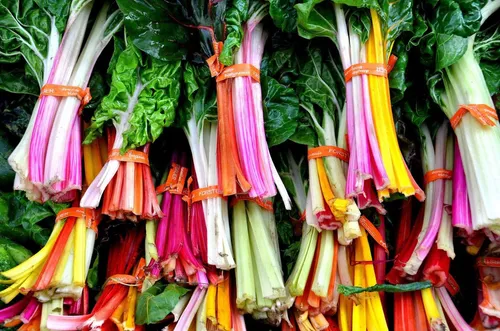 Colheita Contínua: Saboreando a Acelga Fresca por Mais Tempo - inspiração 2