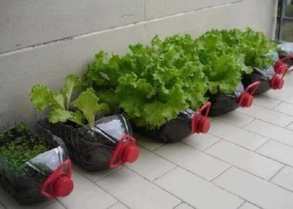 A Mágica da Garrafa PET: Transformando Lixo em Vida - inspiração 1