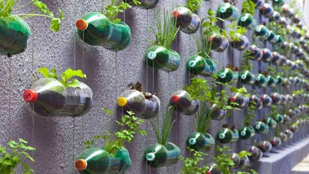 A Mágica da Garrafa PET: Transformando Lixo em Vida - inspiração 3