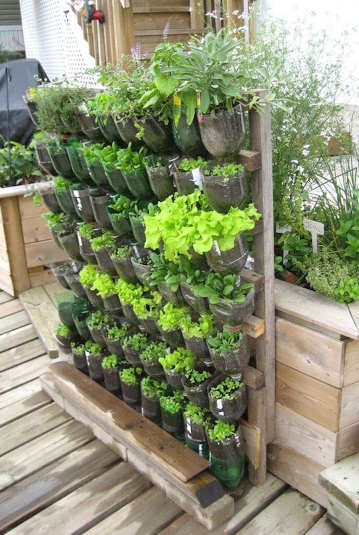 A Arte da Horta Vertical: Um Jardim Suspenso em Casa - inspiração 1